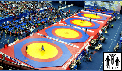 Помост для 4х борцовских ковров OLIMPIADA 22х64х1м DNN