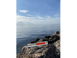 Духи АККОРД: МУЖСКАЯ НЕЖНОСТЬ, 10 мл