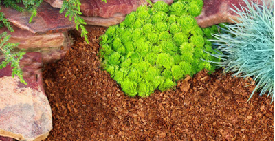 Кора лиственницы, фракция 0-2 см (60 л.)