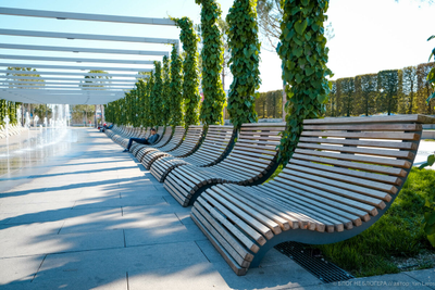 Краснодар! Парк Галицкого