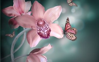 Орхидеи и бабочки DS355 (алмазная мозаика) mc-mjk