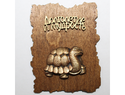 МАГНИТ НА ДЕРЕВЕ ЧЕРЕПАХА. ОПТ