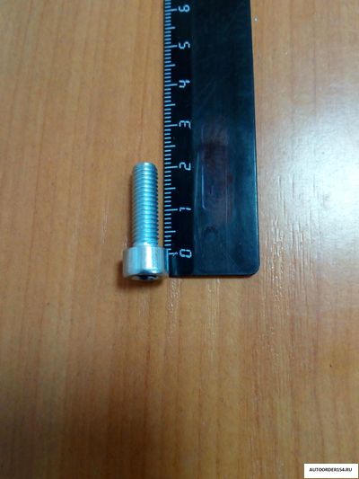 Болт М6*1*20 под внутренний шестигранник (цена за 50 шт.)