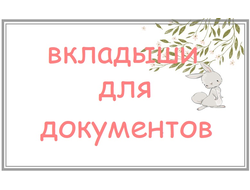 Вкладыши для документов