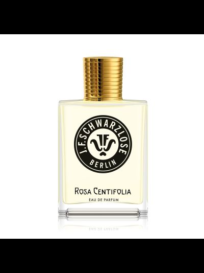 J.F.Schwarzlose Rosa Centifolia