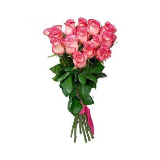 15 розовых голландских роз 90 см