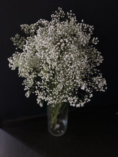 Гипсофила белая 15 шт