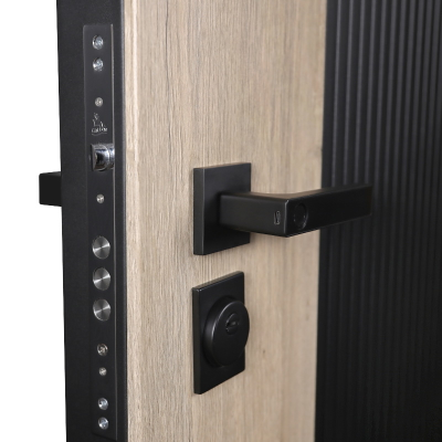 Стальная дверь   Конструктор (умная электронная дверная ручка с отпечатком пальца Smart lock T888 черная)