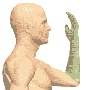 Зона кистей и предплечий. ДЭНАС ПКМ [НЕЙРОДЭНС] 