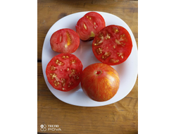 Томат Озарк закат (Ozark sunset), Германия