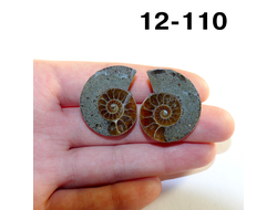 Аммонит окаменелый (симбирцитовый) № 12-110: пара 10,8г - 29*24*7мм