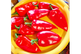 сладкий перец Капия