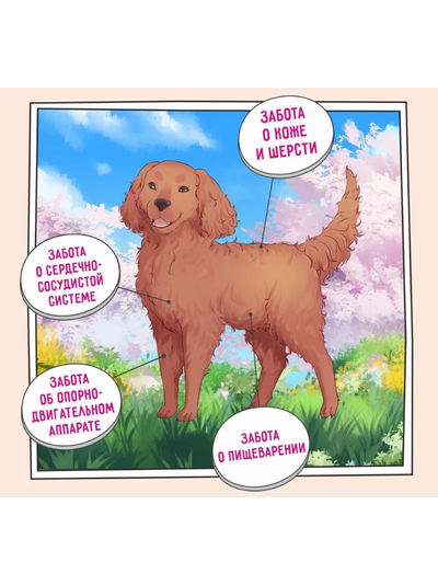 ZILLII Adult Dog Корм сухой для взрослых собак всех пород Индейка с Ягненком 0.8 кг