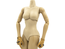 Тело женское в тактических перчатках 1/6 (DCG001) - DAMTOYS