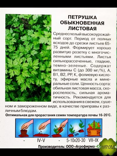 ПЕТРУШКА "ОБЫКНОВЕННАЯ ЛИСТОВАЯ"