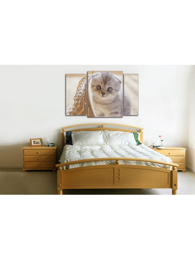 Модульная картина "Маленький в корзиночке"