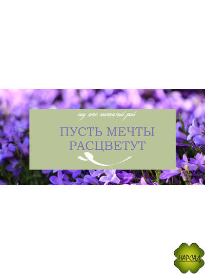 ПОДАРОЧНЫЙ СЕРТИФИКАТ НА 1000 РУБЛЕЙ
