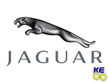 Стекла JAGUAR