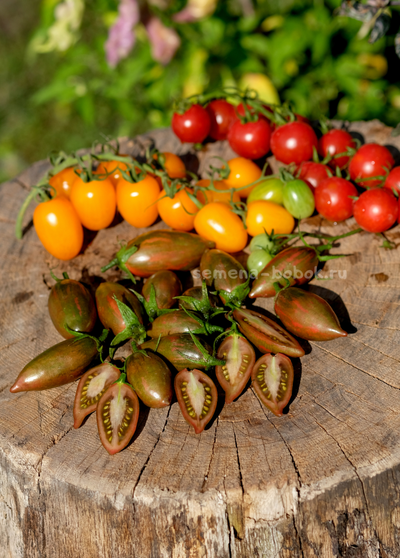 Томат Purple smaragd (Фиолетовый изумруд), 10 шт