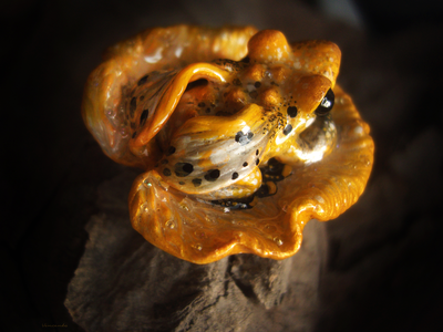 Брошь-лягушка "Крылатая Лучезарница", коллекционная миниатюра