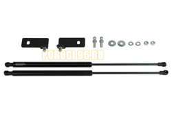 Амортизаторы капота, 2 шт. Pneumatic для Ravon R4 2016-