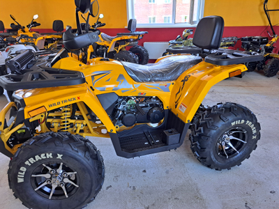 MOTOLAND ATV 200 WILD TRACK X PRO