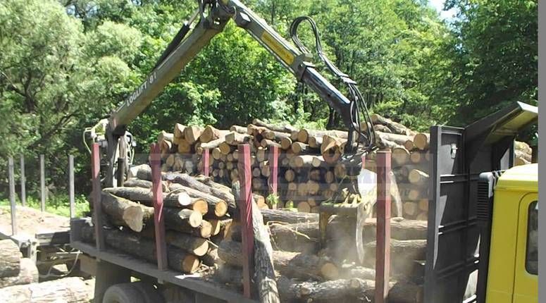 Модель гидроманипулятора Loglift F81S