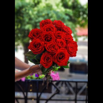 Роза Эквадор "Нина" 60 см 15 шт