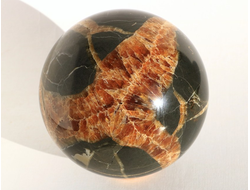 Шар Септария