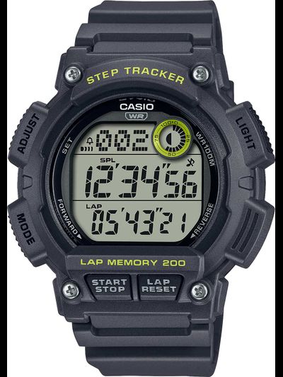 Часы Casio WS-2100H-8A