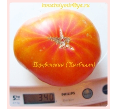 Томат Деревенский (HILBILLY)