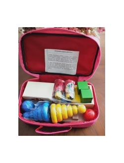 Методика исследования интеллекта ребенка ( чемодан Стребелевой Е.А.) комплект №1 для возраста 2-3 года