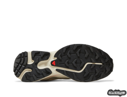 Salomon XТ-6 FT Peach Beige Мужские (40-45)