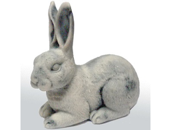 Кролик-ушастик.ОПТ