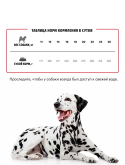 Karmy Medium Adult (Карми Медиум Эдалт) для собак средних пород, 2 кг