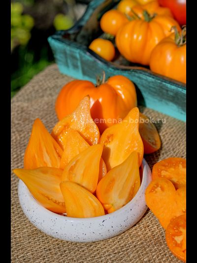 Томат Заилийский Алатау Желтый, 10 шт