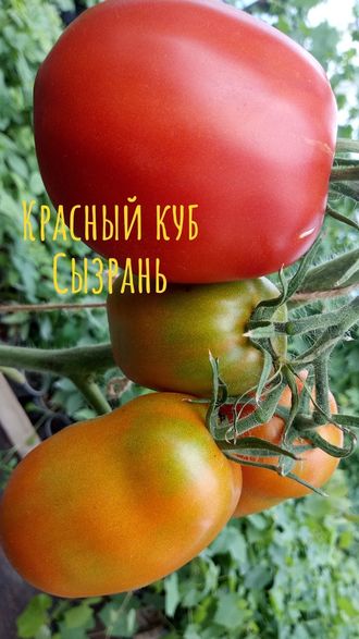 семена томаты "Красный куб. Сызрань"