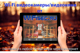 Наши постеры