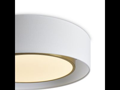 Freya, Потолочный светильник Cozy, FR6170CL-L52BS