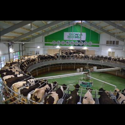 Экскурсия на молочную ферму "ЭкоНива" и молочный завод
