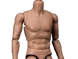 Тело 1/6 AT011 - WorldBox