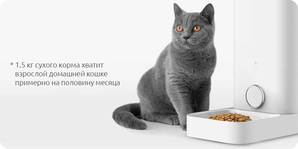 Бытовая техника - Умная автоматическая кормушка для кошек Petkit Fresh ...