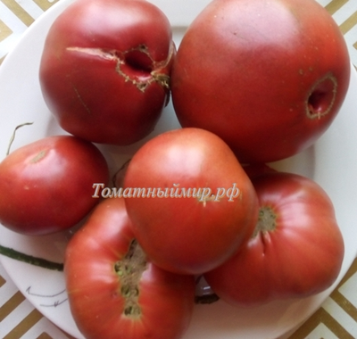 Томат Черный Франкенштейн (Frankenstein Black) США