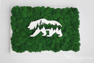 ЖИВАЯ ЭКО-КАРТИНА 1039