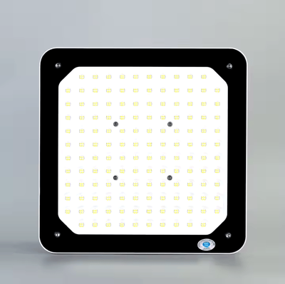 Взрывозащищенные светодиодные лампы для АЗС LED Light