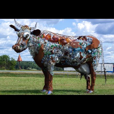 Экскурсия "Прогулка в парке птиц"