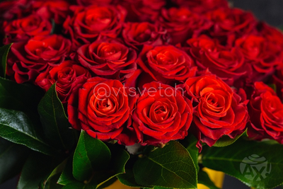 Композиция 12