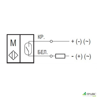 Магниточувствительный датчик MS FE0A6-21