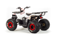 Купить Квадроцикл ATV 125 WILD