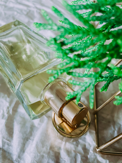 Ex Nihilo Vetiver Moloko